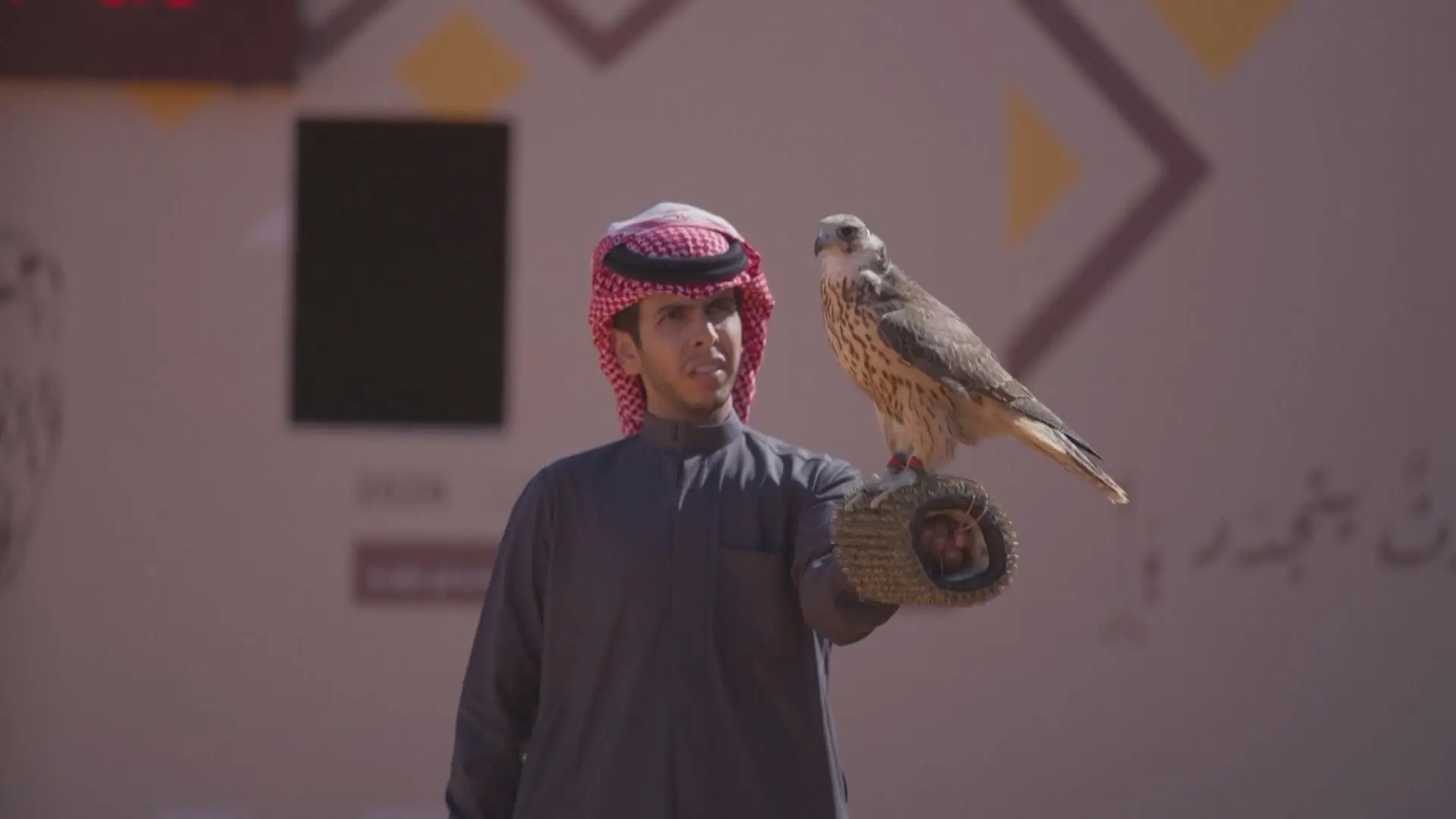 Truyền thống huấn luyện chim săn mồi tại Ả Rập Xê Út